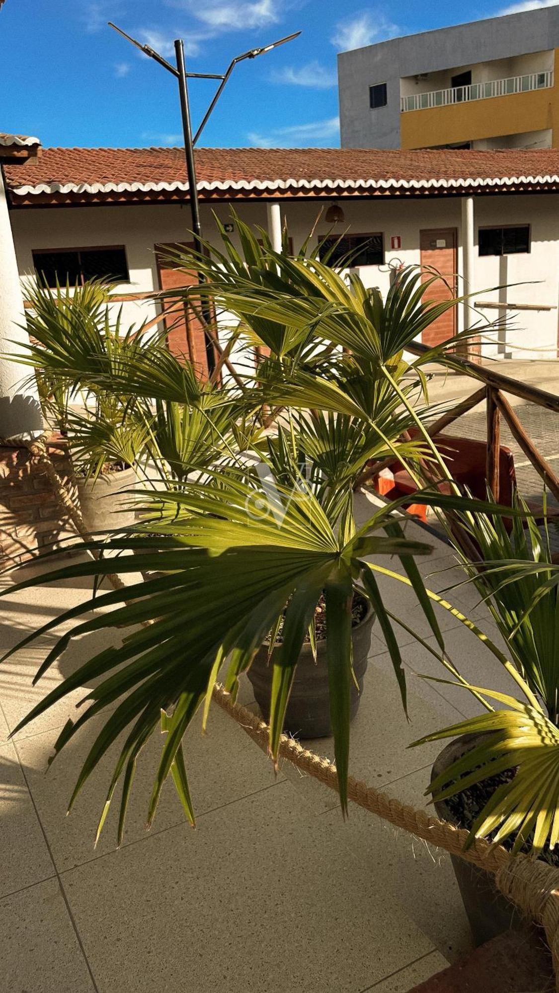 Village Comfort Hotel Canindé de São Francisco Eksteriør bilde